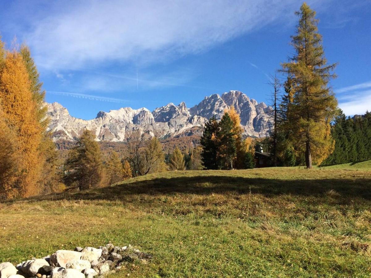 Luxury Panoramic 3Br Apt 2Min To Centre 5Min To Lifts Cortina d'Ampezzo Exterior foto