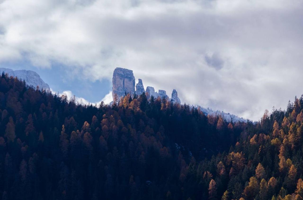 Luxury Panoramic 3Br Apt 2Min To Centre 5Min To Lifts Cortina d'Ampezzo Exterior foto